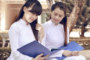 自动攻击网站工具下载